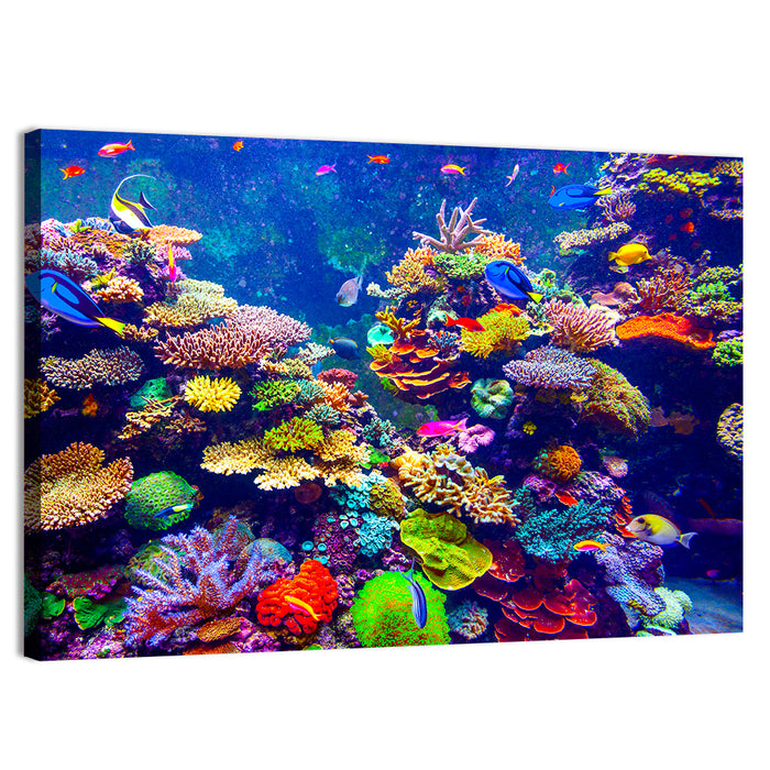 Tropical Coral Reef Aquarium Wall Art as a canvas print
