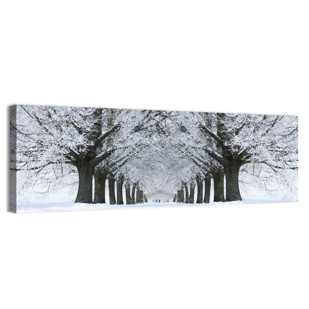 Snow-covered Tree Alley Wall Art, canvas print, panoramic