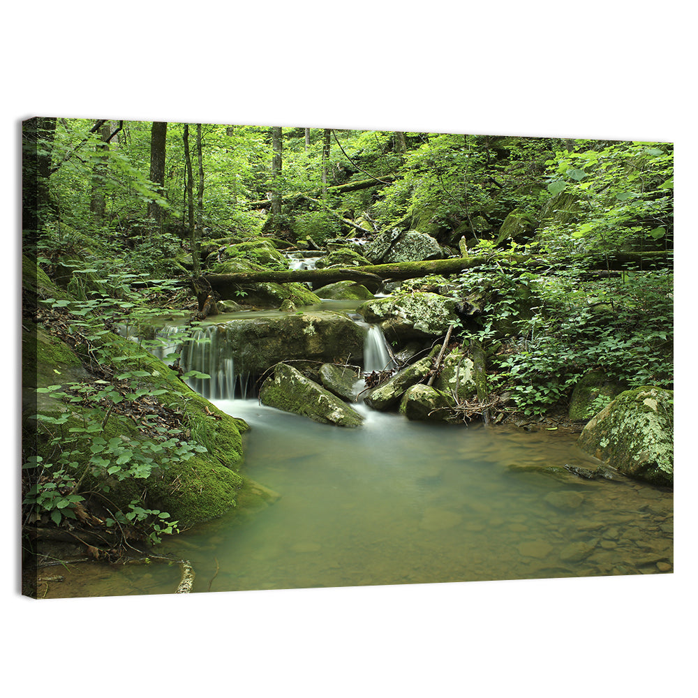 Arkansas Forest Stream Wall Art, canvas print, landscape