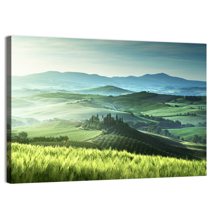 Misty Rolling Hills with Cypresses Wall Art as a canvas print