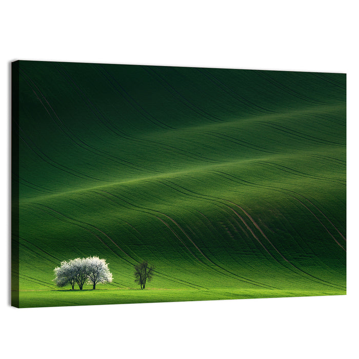 Emerald Hills with Blossoming Tree Wall Art as a canvas print