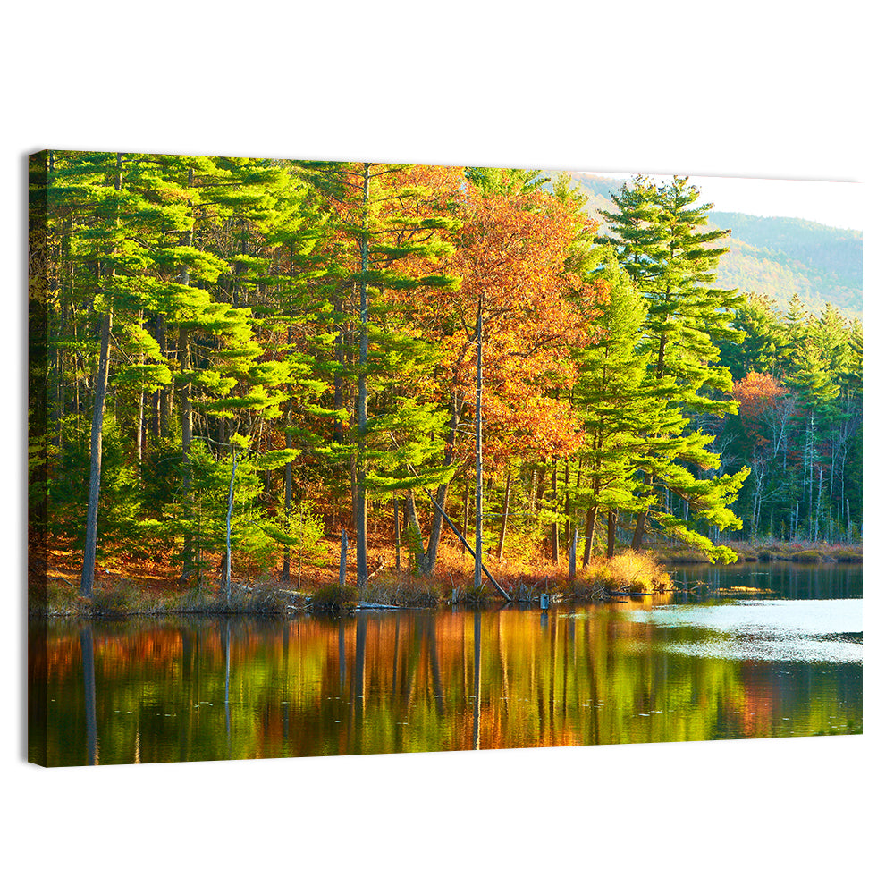 White Mountain National Forest Reflection Wall Art, canvas print, landscape