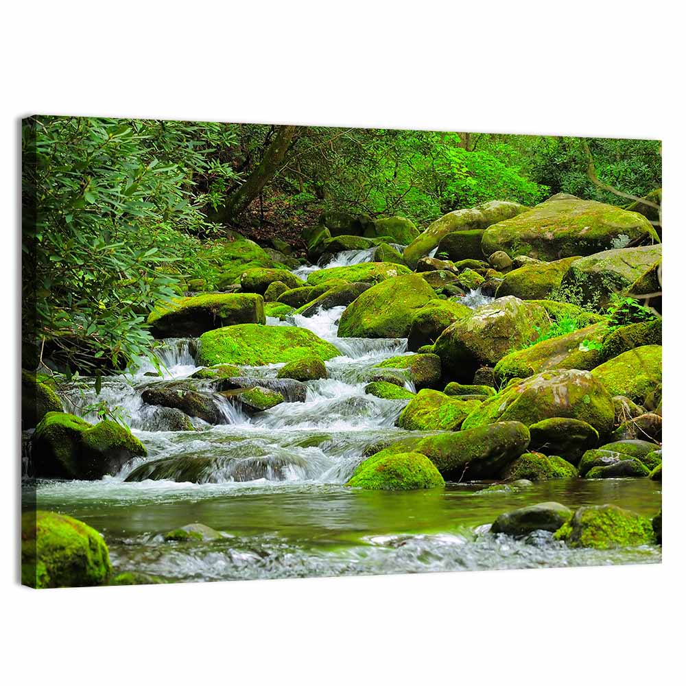 Cascading Mountain Stream Wall Art