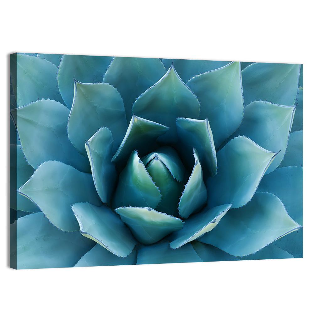 Spiral Agave Macro Wall Art, canvas print, landscape