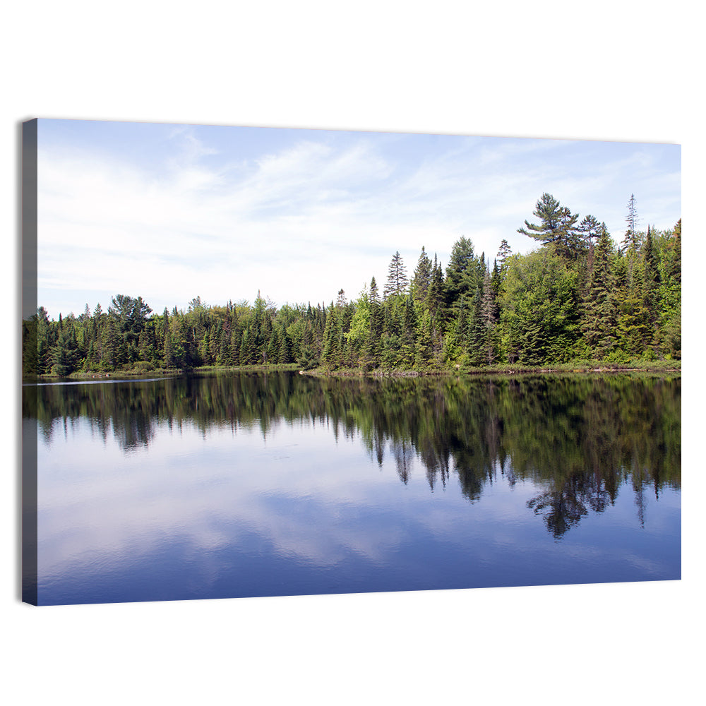 Peck Lake Shoreline Reflection Wall Art, canvas print, landscape
