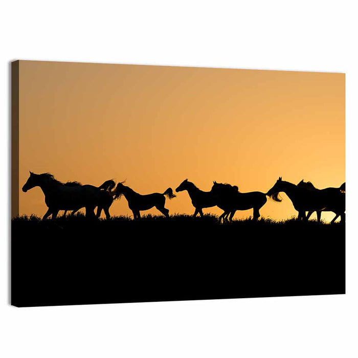Arabian Horse Silhouettes at Sunset Wall Art as a canvas print