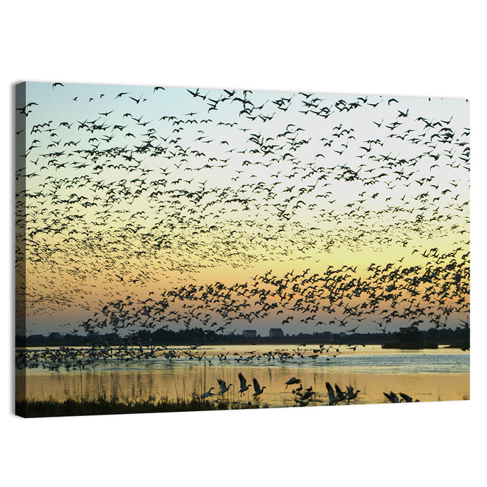 Snow Geese Over River Wall Art as a canvas print