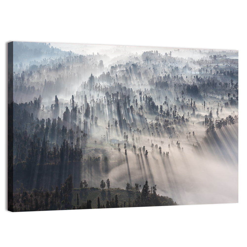 Misty Forest Sunrise Wall Art, canvas print, landscape