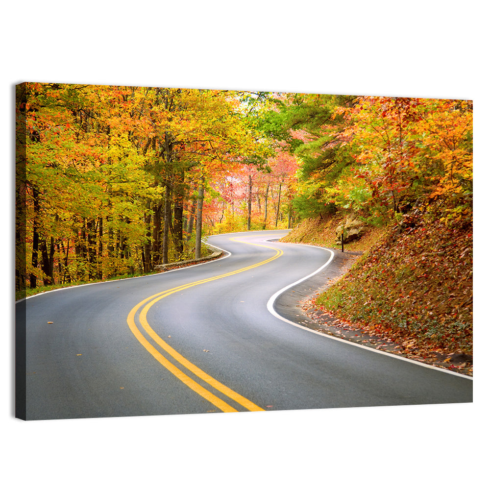 Winding Autumn Road Wall Art, canvas print, landscape