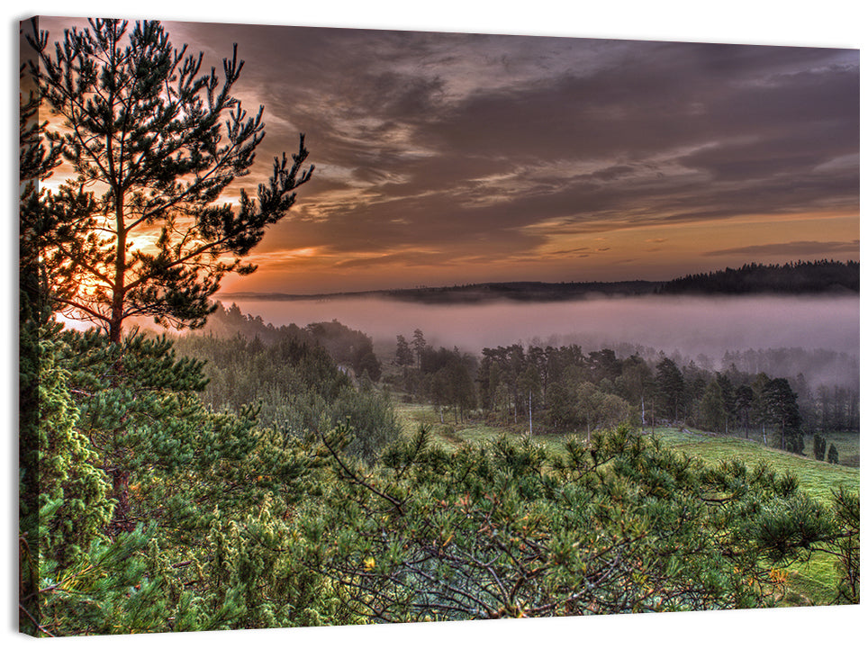 Misty Swedish Pine Valley Wall Art, canvas print, landscape