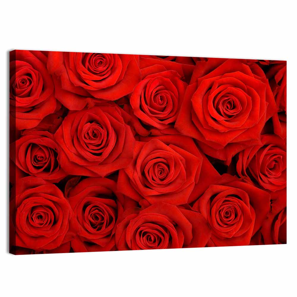 Red Roses Close Up Wall Art, canvas print, landscape