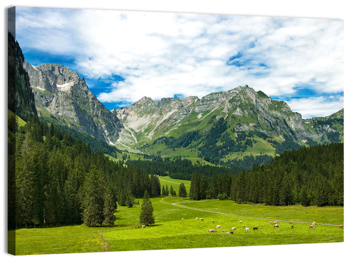 Arnibach Valley Summer Meadow Wall Art as a canvas print