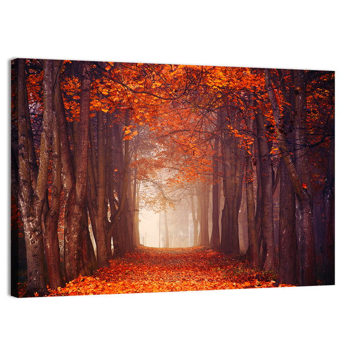 Misty Autumn Forest Path Wall Art as a canvas print