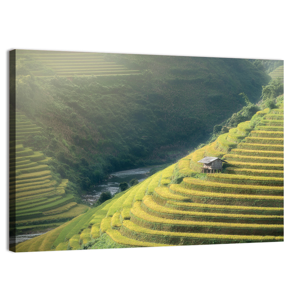 Golden Rice Terraces Wall Art, canvas print, landscape