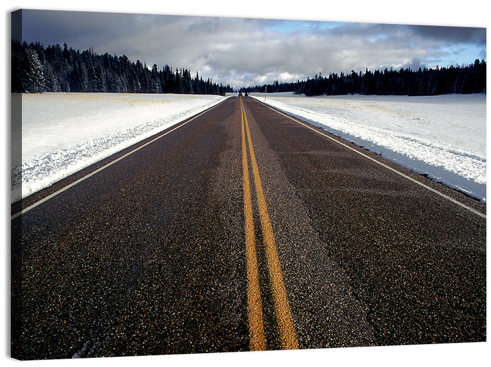 Winter Road Wall Art