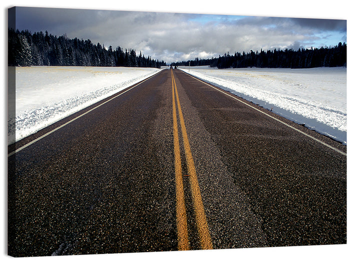 Winter Road Through Pine Forest Wall Art as a canvas print