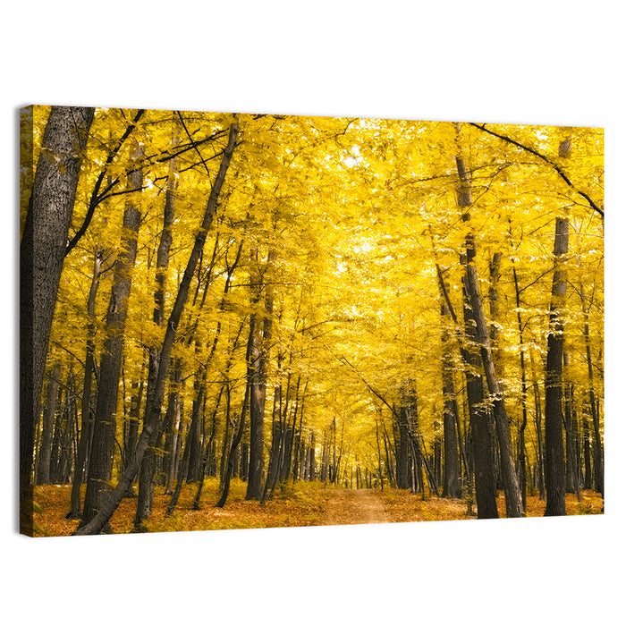 Yellow Autumn Forest Path Wall Art as a canvas print