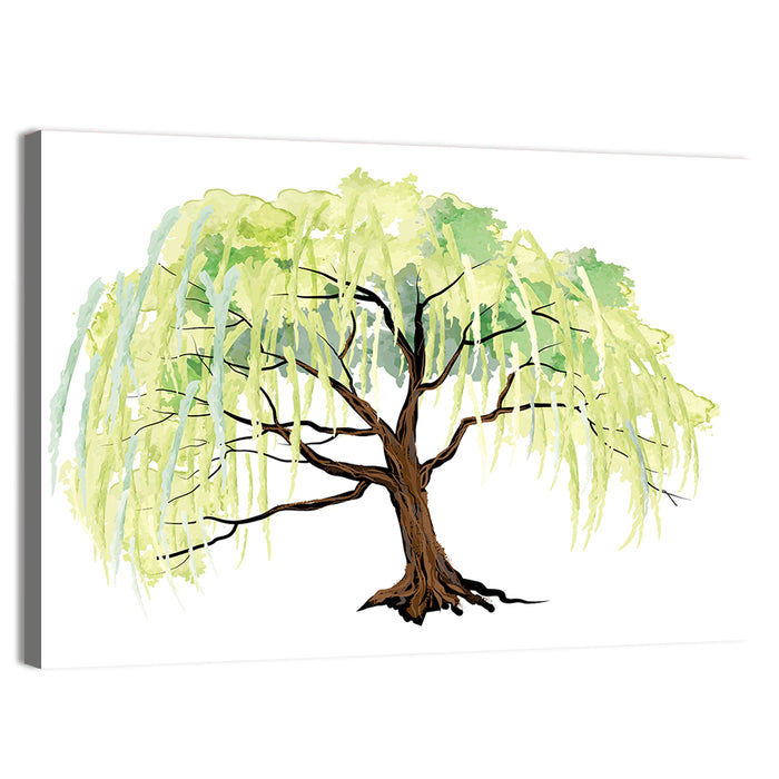 Weeping Willow Watercolor Sketch Wall Art as a canvas print