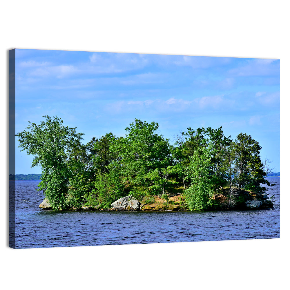 Petenwell Lake Island Wall Art, canvas print, landscape