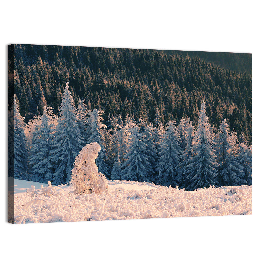 Carpathian Forest at Golden Hour Wall Art, canvas print, landscape
