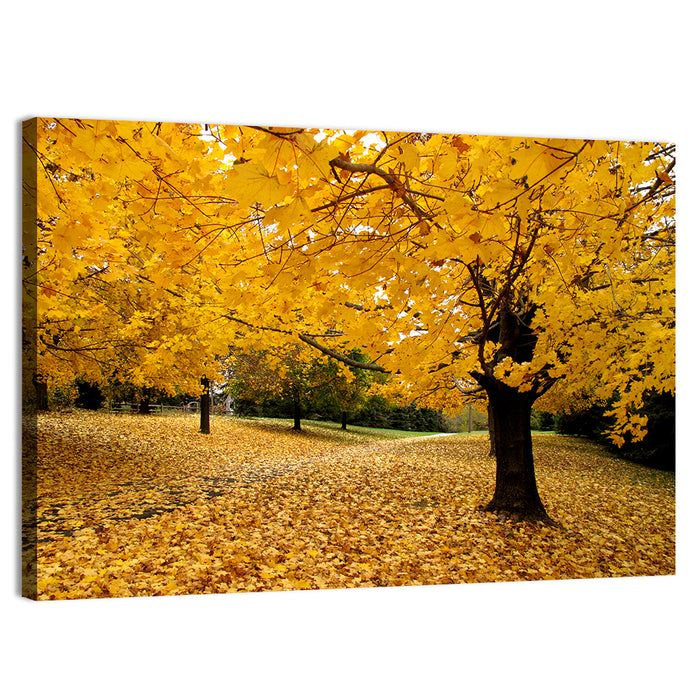 Baltimore Autumn Foliage Wall Art as a canvas print
