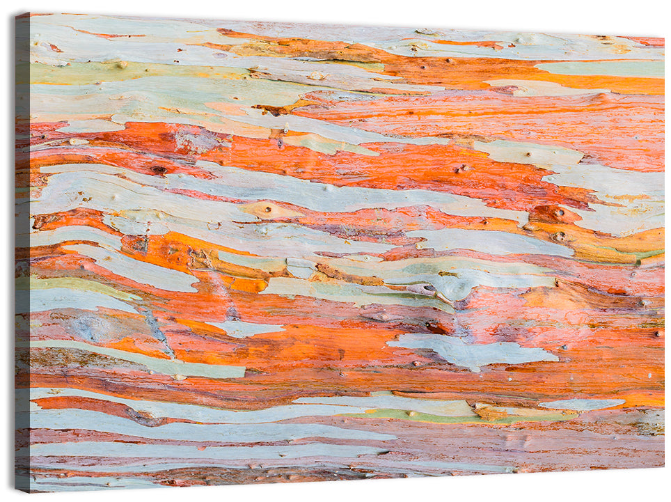 Abstract Eucalyptus Bark Layers Wall Art, canvas print, landscape