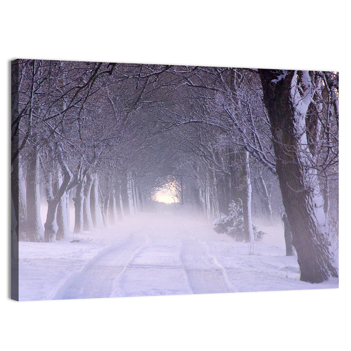Kuressaare Park Snowy Path Wall Art as a canvas print