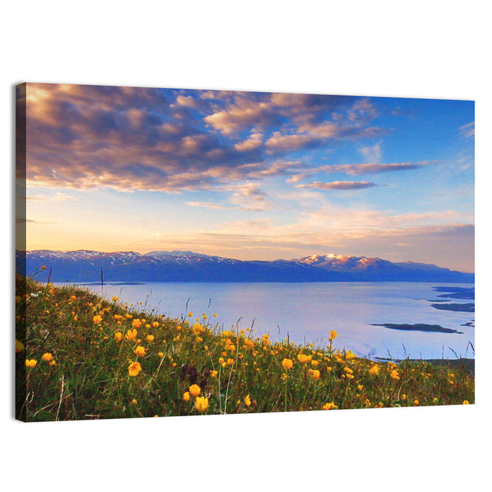 Abisko National Park Sunrise Wall Art as a canvas print