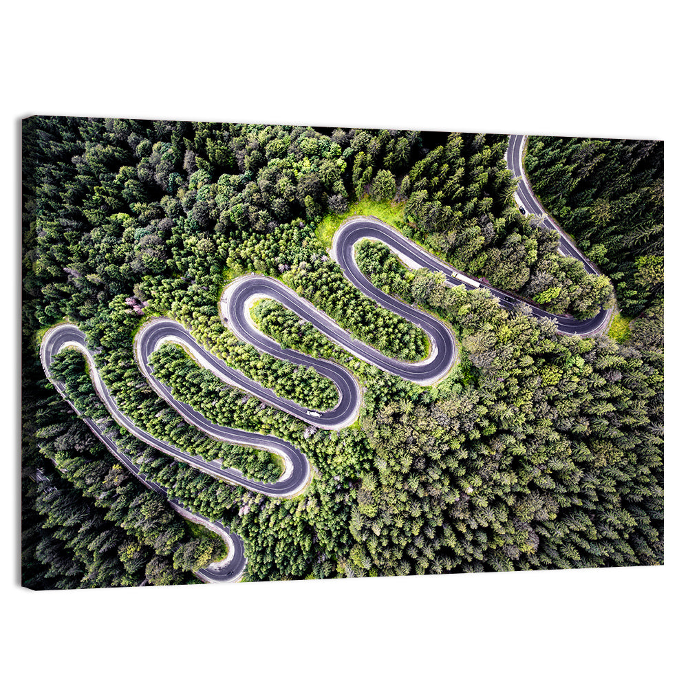Serpentine Mountain Road Wall Art, canvas print, landscape