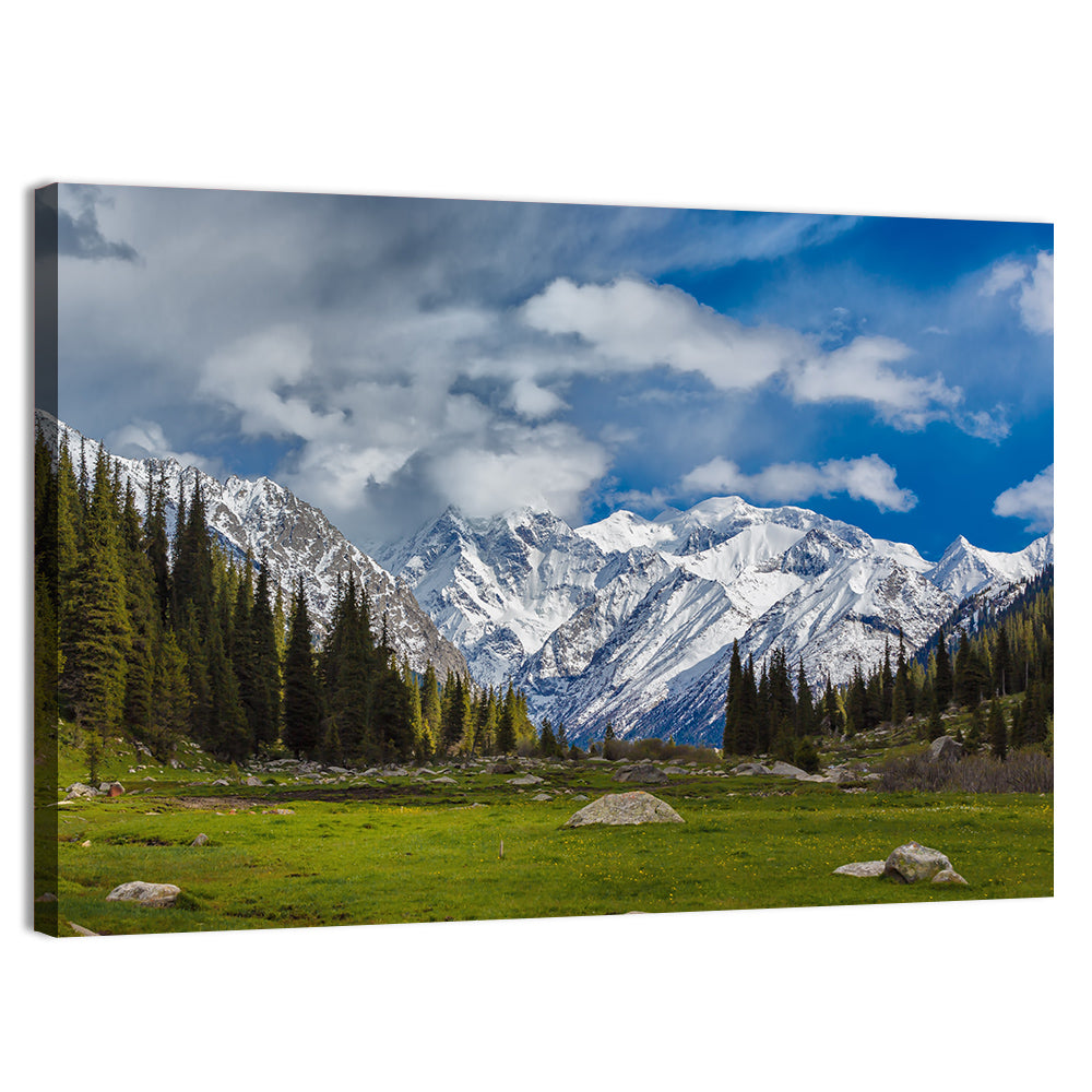 Ala Archa Meadow and Peaks Wall Art, canvas print, landscape
