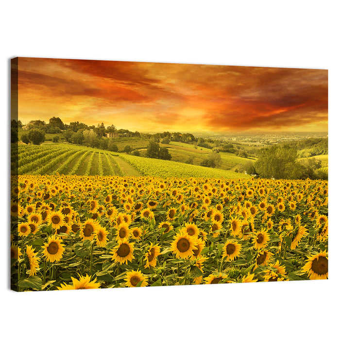 Sunflower Field at Golden Hour Wall Art as a canvas print