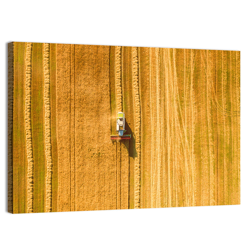 Aerial Wheat Harvest Wall Art, canvas print, landscape