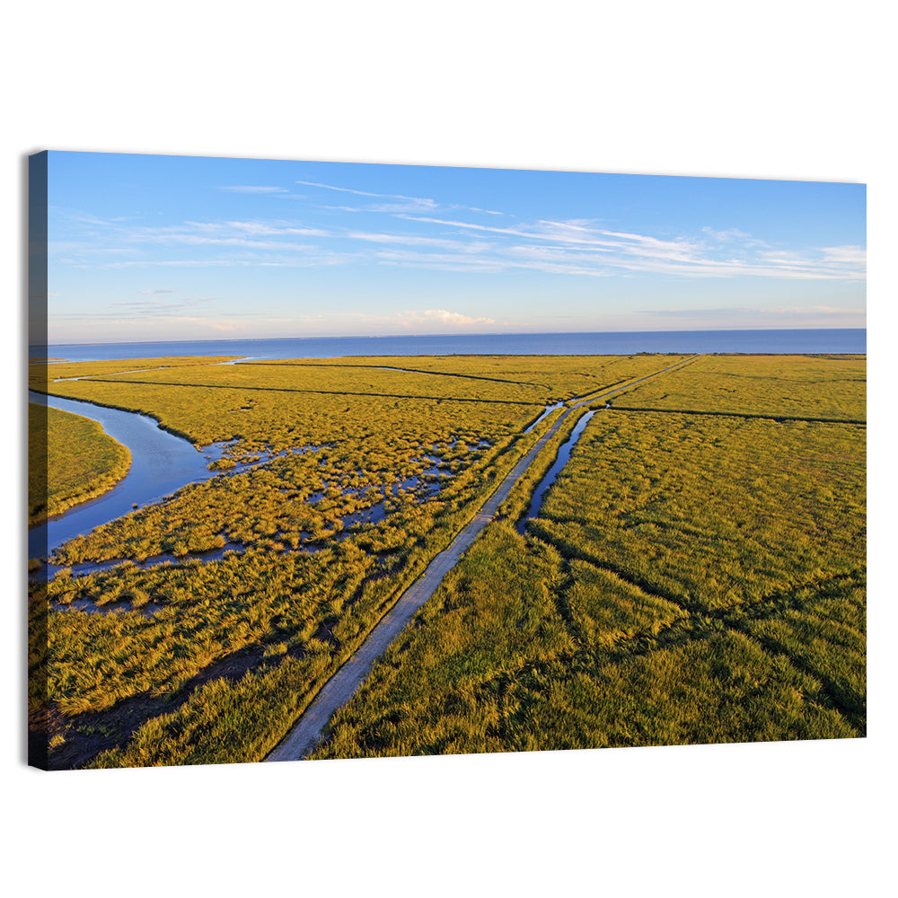 Delaware Bay Marshland Aerial Wall Art, canvas print, landscape