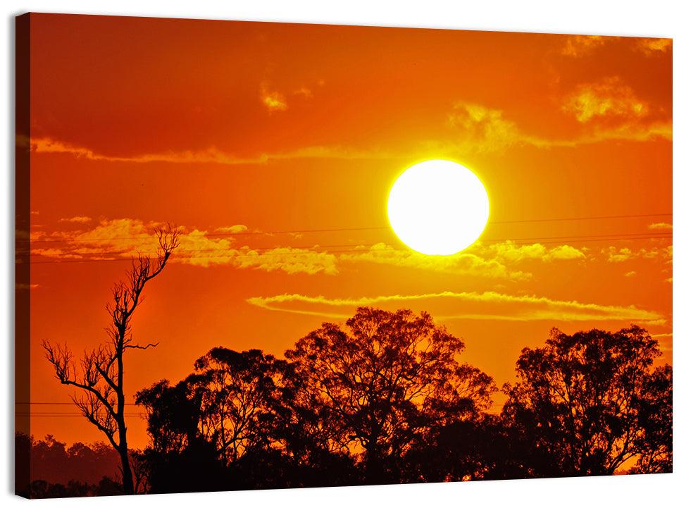Burning Sun Over Tree Silhouettes Wall Art, canvas print, landscape