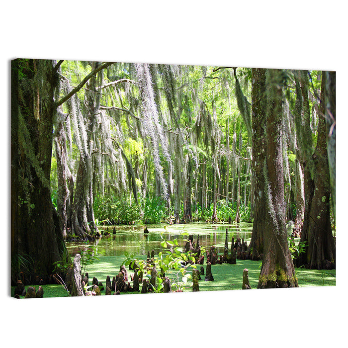 Louisiana Cypress Swamp Wall Art as a canvas print