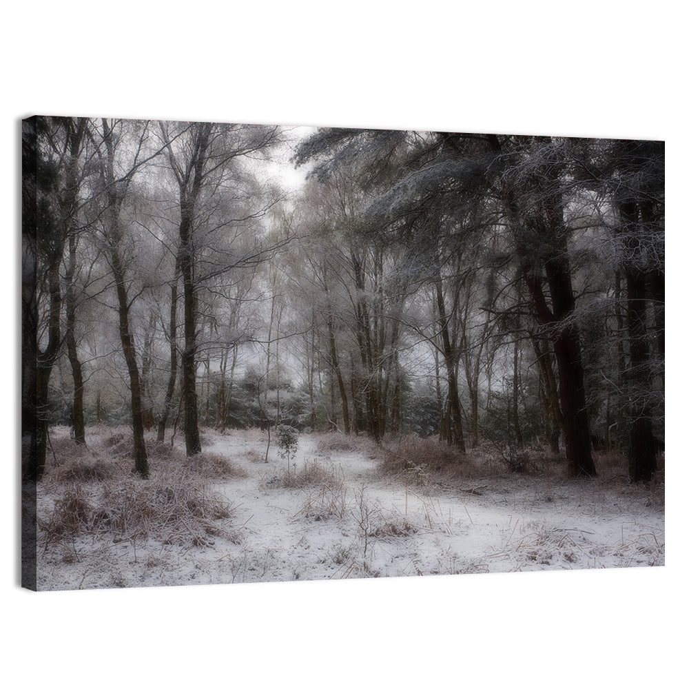 New Forest Winter Path Wall Art, canvas print, landscape