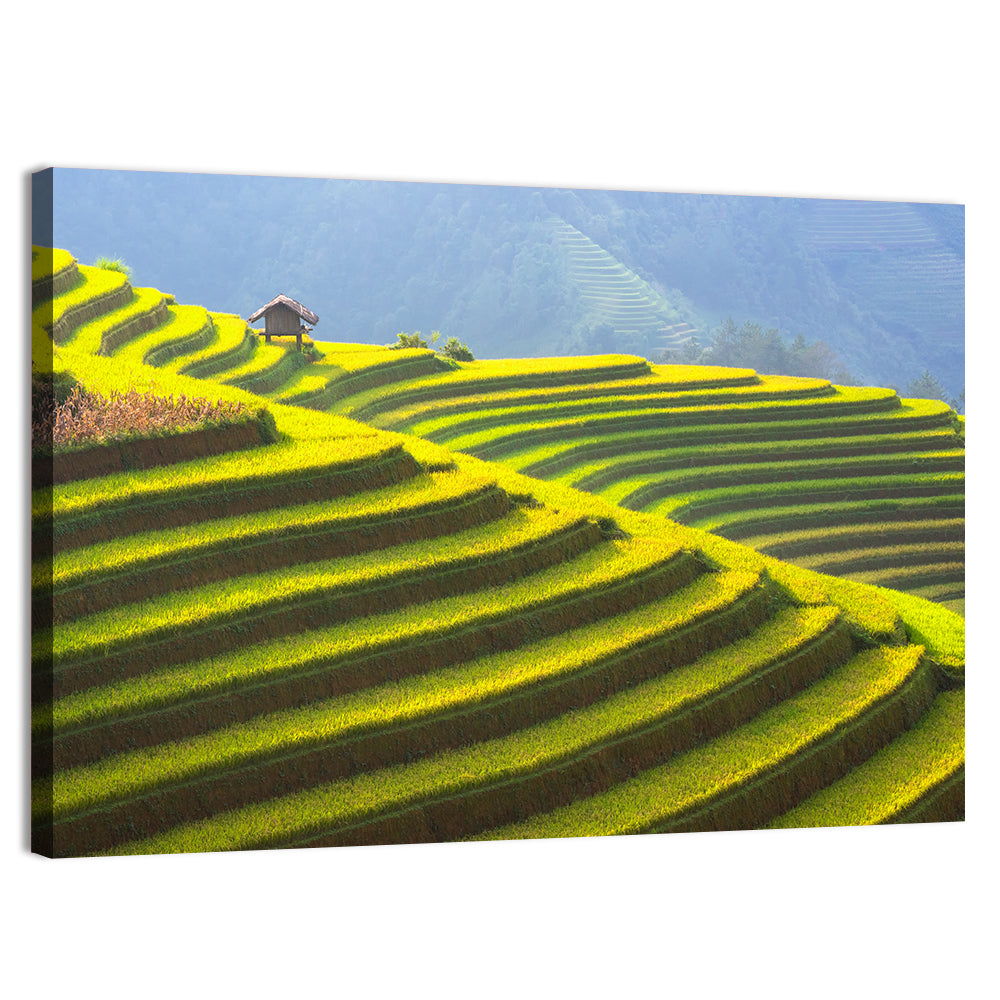 Mu Cang Chai Rice Terraces Wall Art, canvas print, landscape