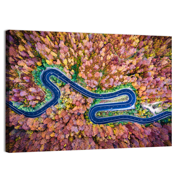 Aerial Winding Road Wall Art as a canvas print