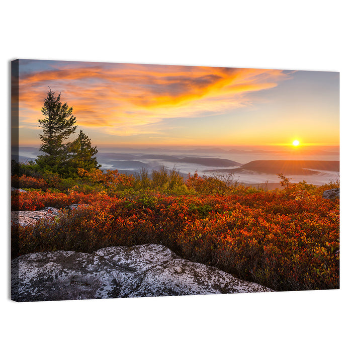 Sunrise Over Dolly Sods Wall Art as a canvas print