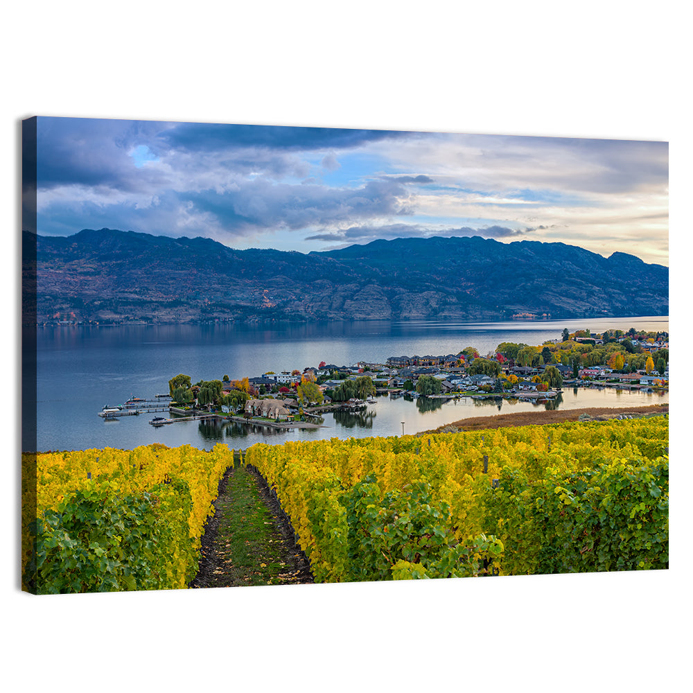 Okanagan Lake Vineyard, Kelowna Wall Art, canvas print, landscape
