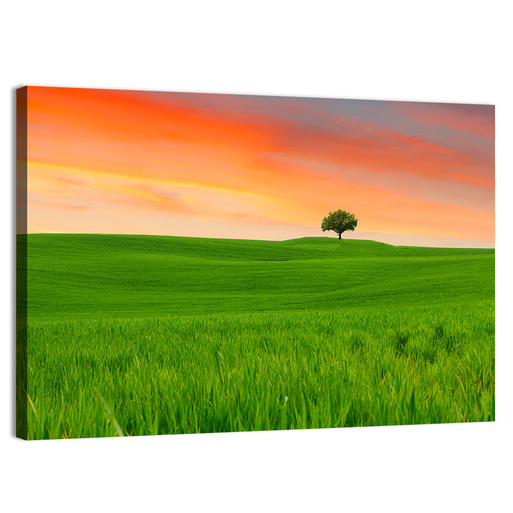 Tuscany Sunset Hills Wall Art, canvas print, landscape