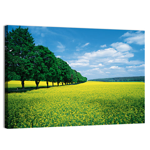 Spring Field of Yellow Flowers Wall Art