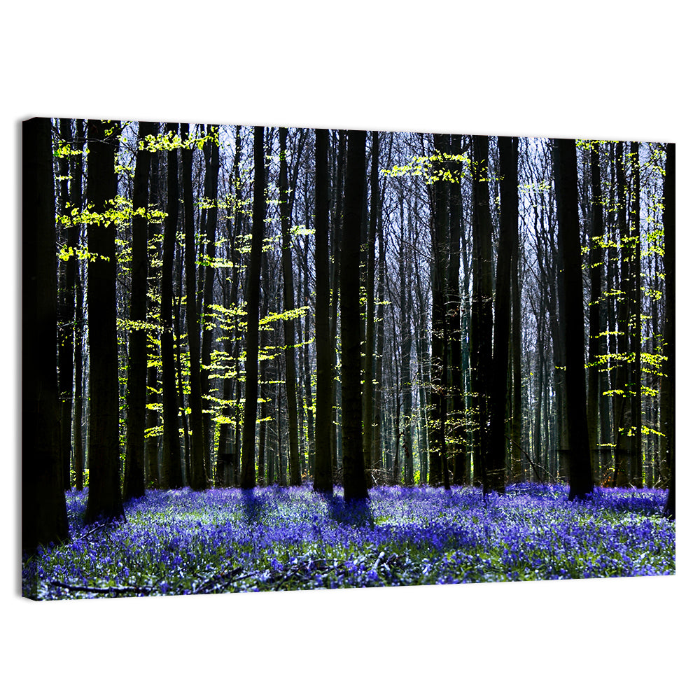 Bluebell Symphony Wall Art, canvas print, landscape
