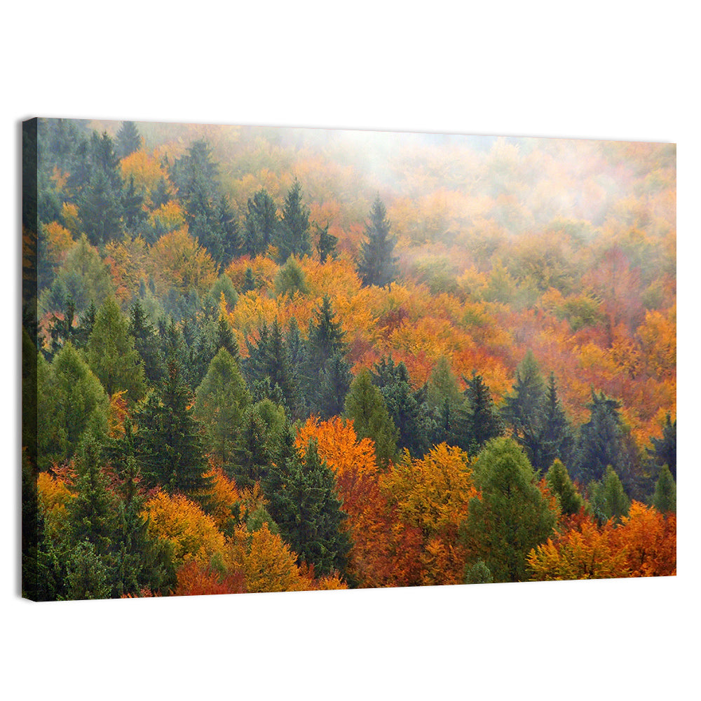 Misty Autumn Forestscape Wall Art, canvas print, landscape