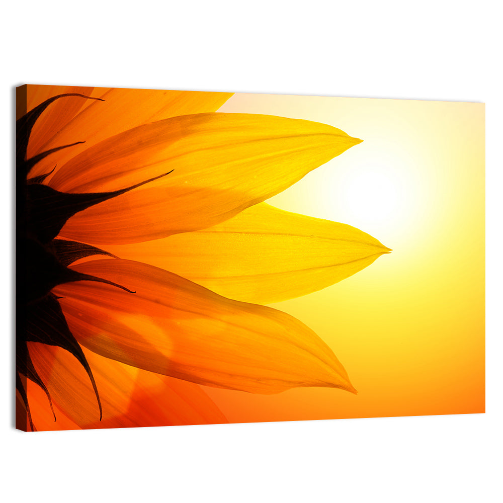 Backlit Sunflower Petals Wall Art, canvas print, landscape