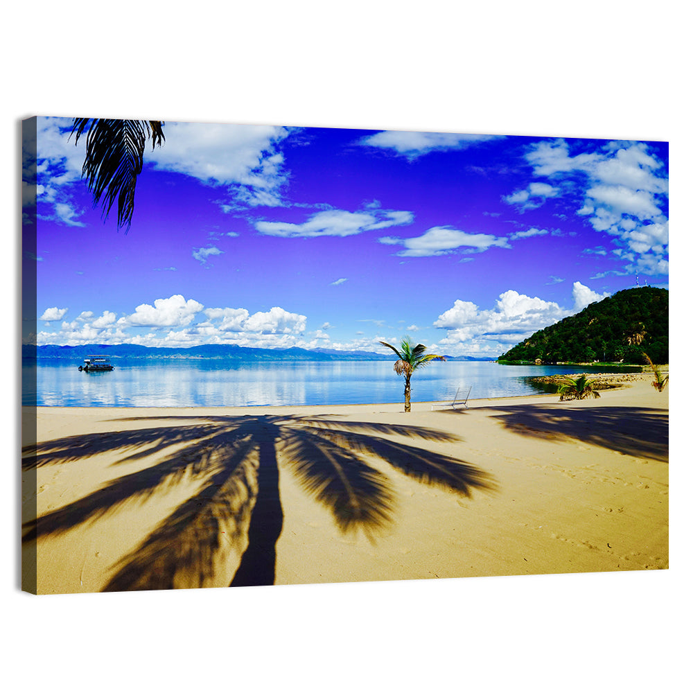 Lake Malawi Palm Shadow Wall Art, canvas print, landscape