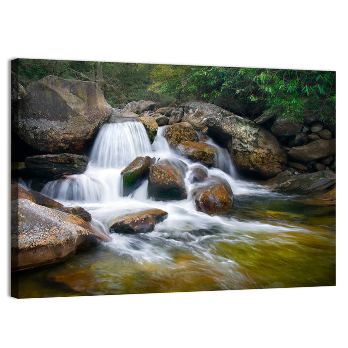 Blue Ridge Mossy Waterfall Wall Art as a canvas print