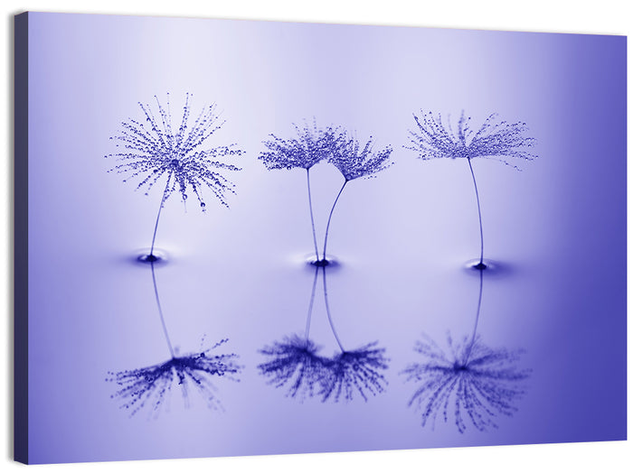 Blue Dandelion Seeds with Reflections Wall Art as a canvas print