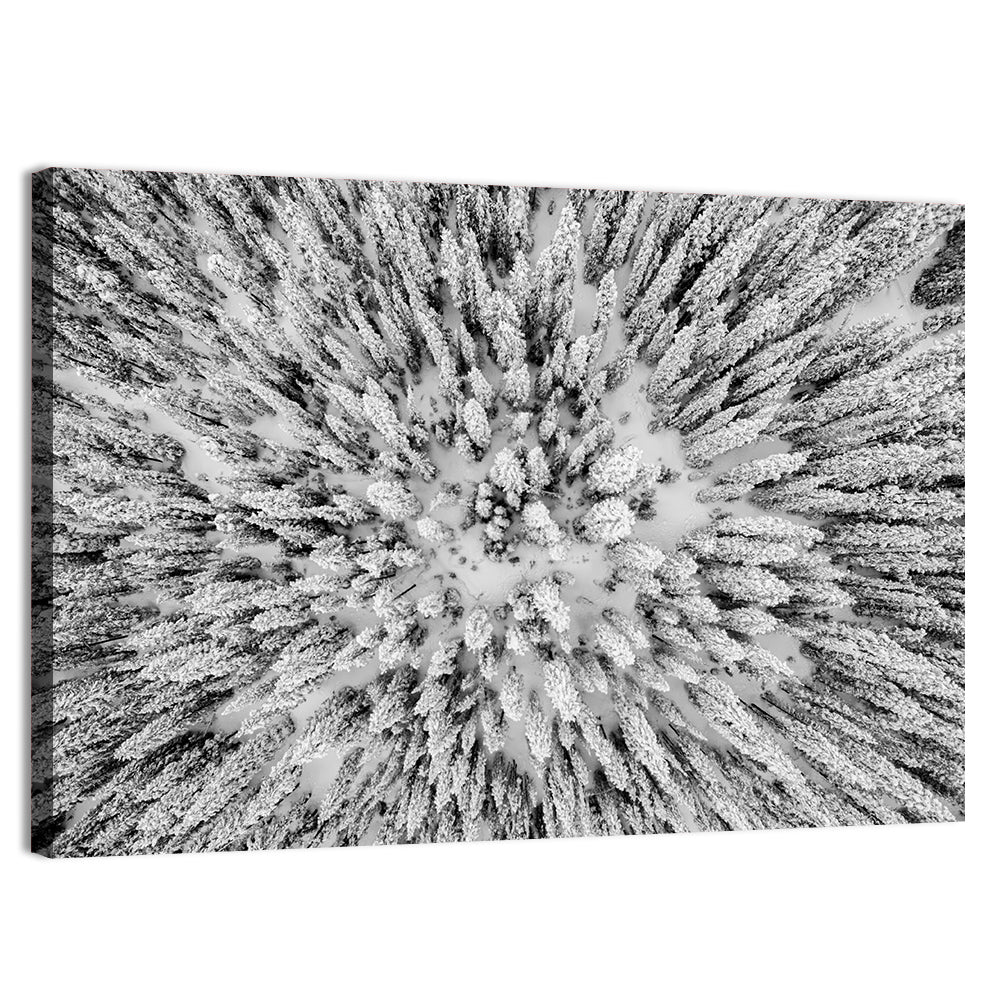 Snowy Aerial Forest Wall Art, canvas print, landscape