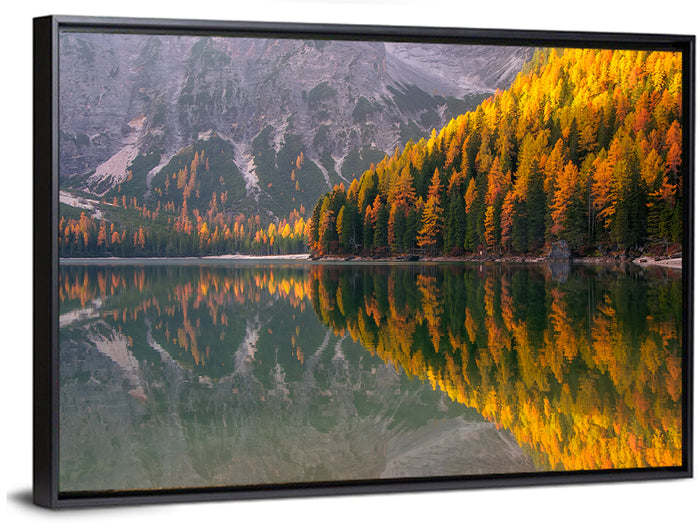 Braies Lake Golden Reflection Wall Art as a framed canvas